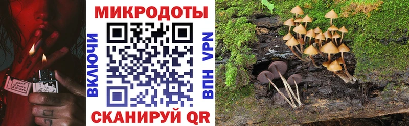 Галлюциногенные грибы прущие грибы  shop формула  Александровское  что такое наркотик 