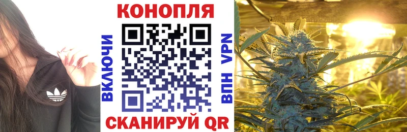 Канабис SATIVA & INDICA  Александровское 